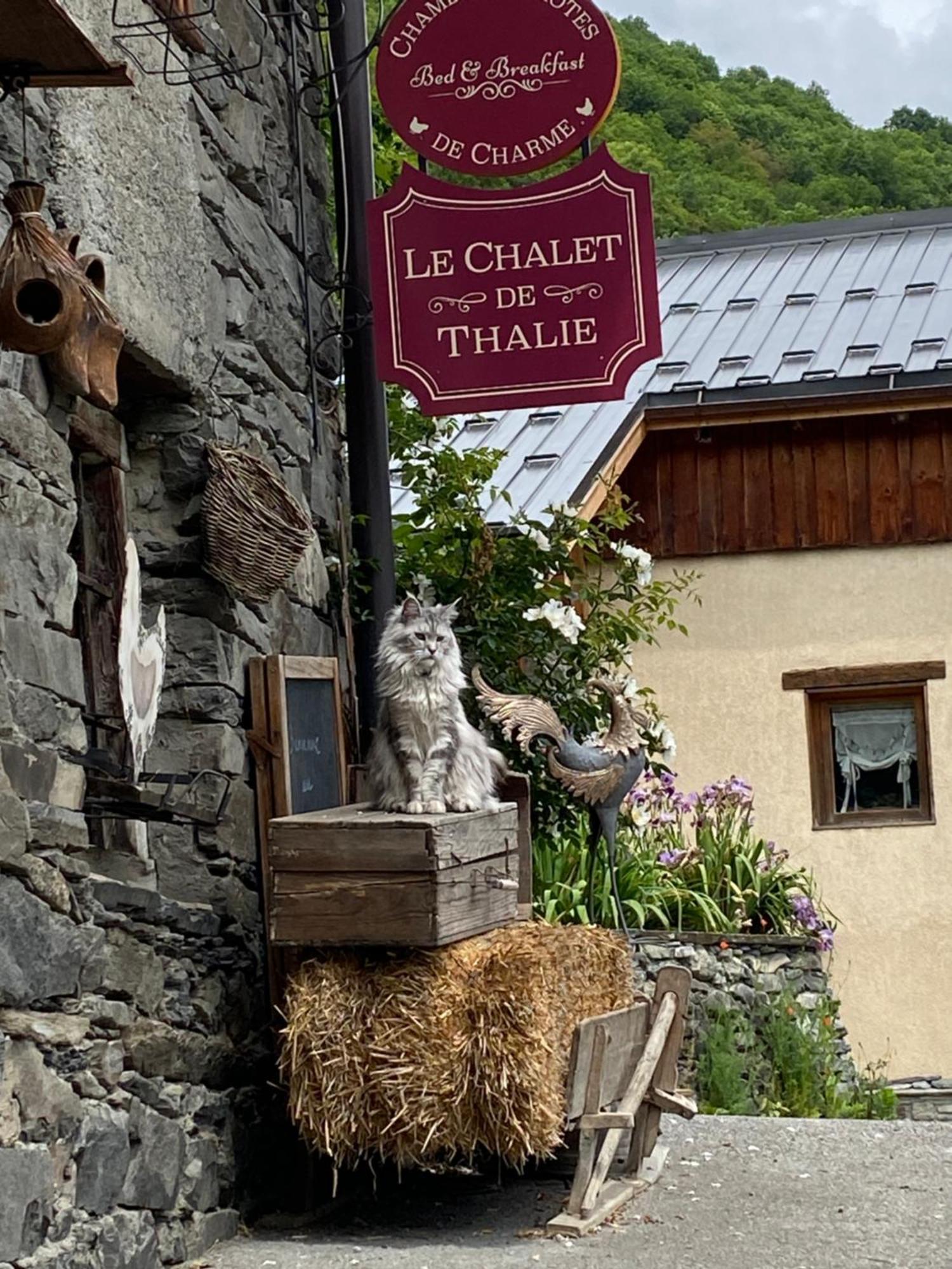 Le Chalet De Thalie Bourg-Saint-Maurice Eksteriør billede